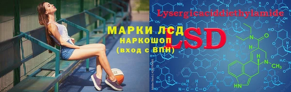амф Алзамай